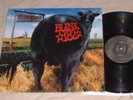 Blink 182 DUDE RANCH 12
