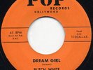 Rare Teen / Doo Wop 45 - Butch White - Dream Girl