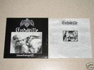 ENDSTILLE/GRAUPEL Lauschangriff... Split-MLP Super-Rar