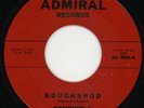 RARE SURF INSTRO 45 SENTINELS- R O U G H S H O D LISTEN