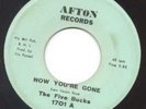 The Five Bucks on AFTON, 45 RPM, GARAGE