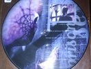 Tool sober prison sex PROMO picture disc 12