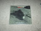 Pearl Jam Christmas Single WHO KILLED RUDOLPH?