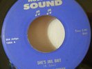 Roosevelt Sykes - She's Jait Bait BLUES 45