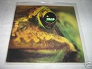 THE TOAD SAME LP HARD PSYCH OR. ITALY PRESS  TOP RARE