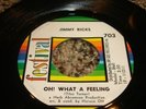 RARE NORTHERN SOUL 45/ JIMMY RICKS 