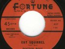 Michigan Blues Bopper 45-Doctor Ross--HEAR 