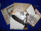 Led Zeppelin vinyl Lp,s