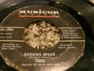 RARE FUNK 45/ S.O.U.L. 