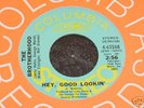 The Brotherhood 45 Hey Good Lookin' Mike Finnigan SERFS