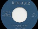 Florida Soul Blues DON HOLLINGER--Wild Kelane 45 rpm #2