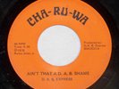 HEAR RARE OHIO FUNK 45 BY D.A.B. EXPRESS ON CHA-RU-WA