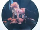 MADONNA BLOND AMBITION INTERVIEW PICTURE DISC 12