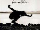 Into the Wild LP VERY LIMITED Release w/bonus 7