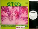 FRANK ZAPPA GTO's Rare WL PROMO Permanent Damage LP NM