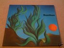 RONTHEO  RARE GERMAN PRIVATE PSYCH FOLK ORIG LP M-