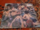 Panda Bear Person Pitch 2xLP MINT SLD animal collective