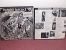 Deviated Instinct - Rock 'n' Roll Conformity lp Crust