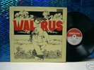 WALRUS - 