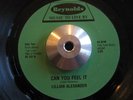 Modern Soul 45 LILLIAN ALEXANDER Can You Feel It HEAR