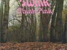 THINK PINK by TWINK **RARE** LP