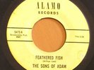1960s Garage 45 - SONS OF ADAM Feathered Fish - ALAMO