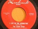1967 Garage 45 LEMON DROPS Live In Springtime RENBRANDT