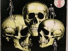 SKULL SNAPS holy grail funky breaks soul LP GSF  LISTEN