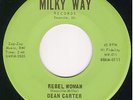 Psycho Rockabilly Garage Far Out 45- DEAN CARTER   HEAR
