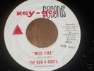 surf instrumentals RUN-A-BOUTS  Wild Fire   reverb '63