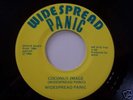 Widespread Panic 7