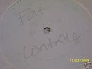 FAT CONTROLLER -IN COMPLETE DARKNESS-BIG CHOON-LISTEN