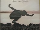 EDDIE VEDDER INTO THE WILD SOUNDTRACK VINYL LP+7
