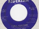 NIGHT SHIFT She RARE 1967 monster garage punk 45 LISTEN