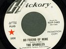 Garage: Sparkles, No Friend of Mine on Hickory