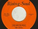 THE U-F-O's Too Hot To Hold RISING-SOUL Records