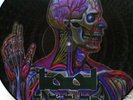 Tool  Lateralus Picture Disc LP Limited issue New