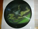 Tool Aenima Promo Picture Disc / One Of The Rarest 
