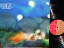 French electronic psych LP  IGOR WAKHEVITCH - Nagual