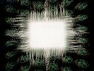 TOOL AENIMA Double Vinyl LP OOP