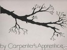 CARPENTERS APPRENTICE-CHANGES-LP/ VERY RARE UK FOLK LP