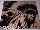 SEQUOIAH indiana rural rock psych private 700 WEST LP