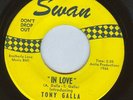 Tony Galla 45 on Swan 