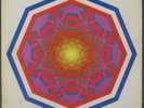 THE FARM BAND Rural Hippie PRIVATE PSYCH 2LP