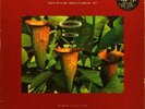 WARP * V.A.-ARTIFICIAL INTELLIGENCE II * LIMITED 3-LP