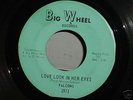 FALCONS Love Look In Her Eyes NORTHERN SOUL 45 - LISTEN