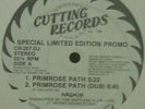 HASHIM - PRIMROSE PATH  SPECIAL LIMITED EDITION PROMO 