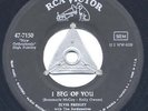 Rare Elvis Presley 45 - I Beg Of You - Army Pressing