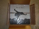 NEW SEALED Into the Wild LP w/ bonus 7