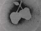 Silver Apples Orig Stereo with Rare Color Insert